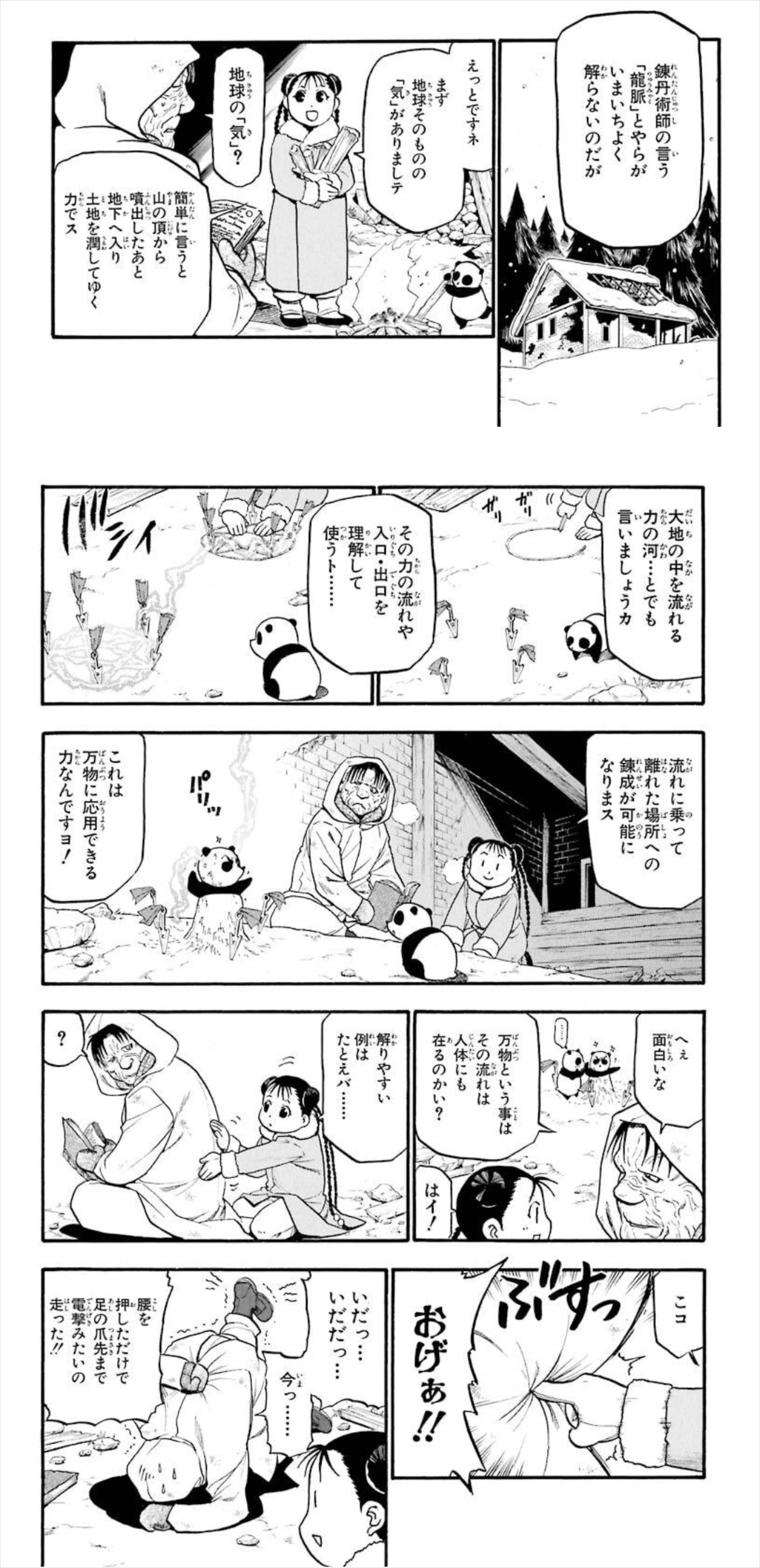 （荒川弘、2007『鋼の錬金術師 17巻』スクウェア・エニックス）